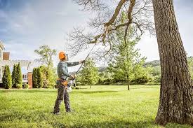 Best Utility Line Clearance  in Desert View Highlands, CA