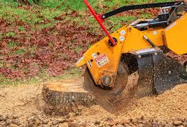 Lawn Watering Services in Desert View Highlands, CA