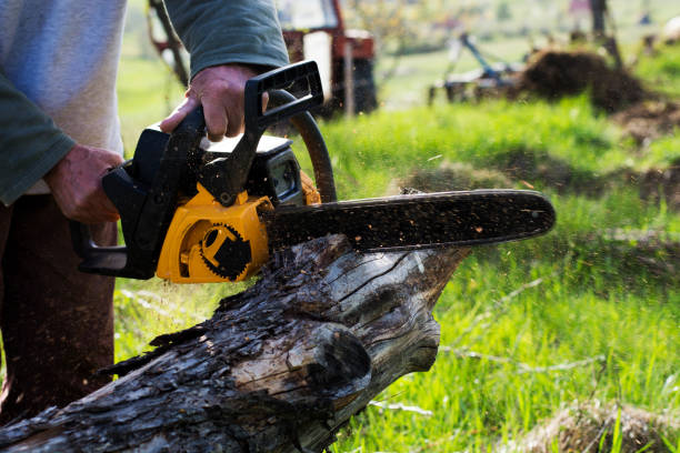 Best Emergency Tree Removal  in Desert View Highlands, CA